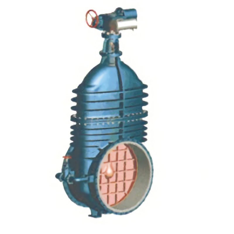 Non Rising Stem Wedge Double Disk Gate Valve - FCV